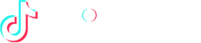 TikTok Marketing Partner